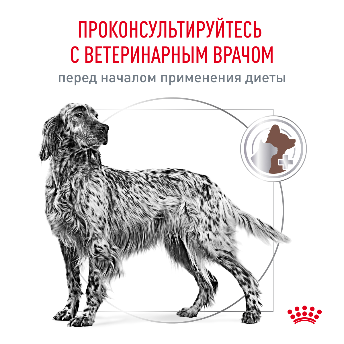 Корм для собак ROYAL CANIN Gastrointestinal полнорационный диетический для взрослых собак при расстройствах - фото 9