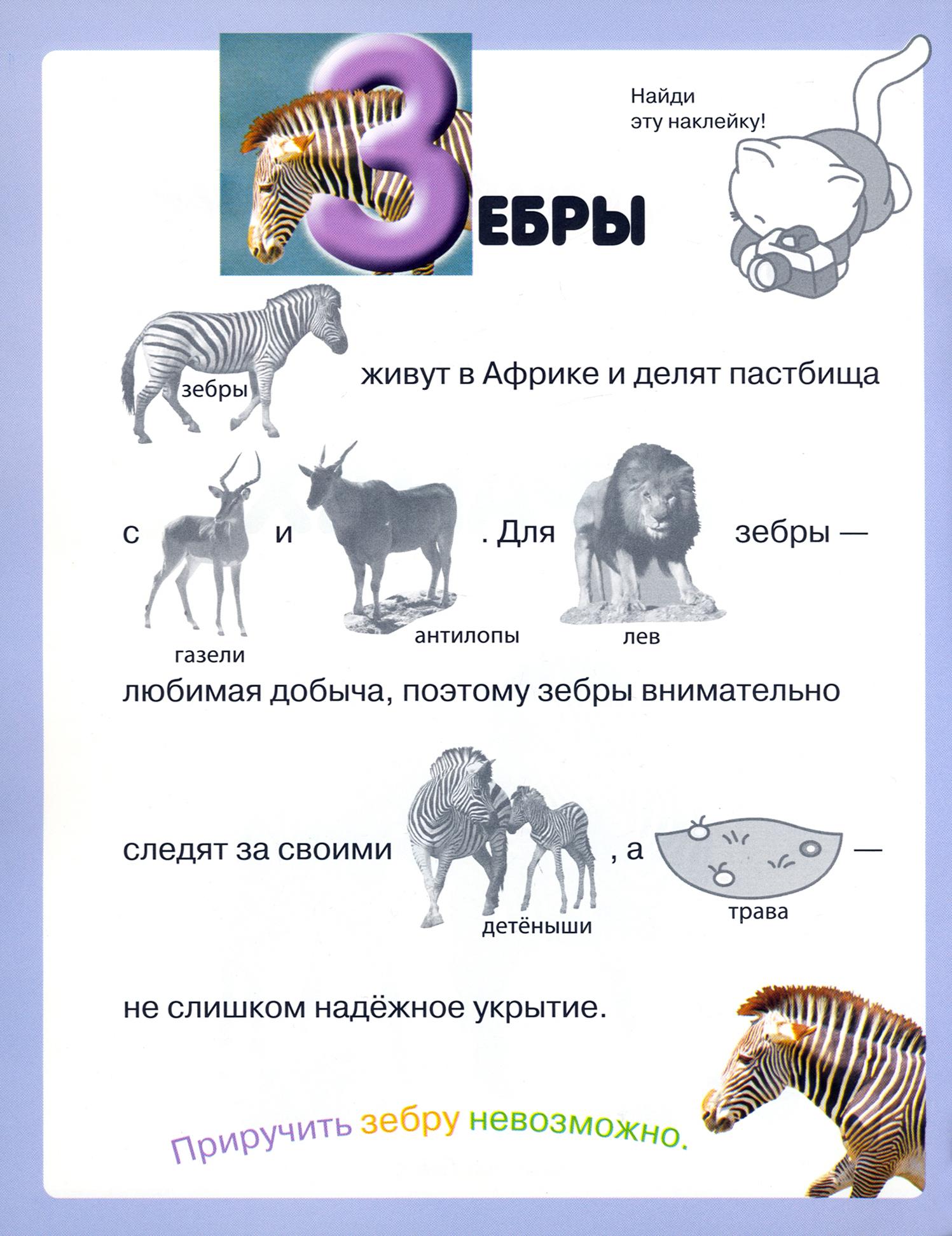 Книга Лабиринт Читай играй наклеивай Животные Синяя - фото 5