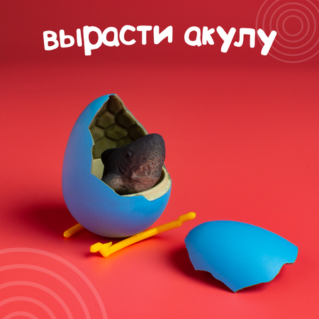 Настольная игра Школа Талантов