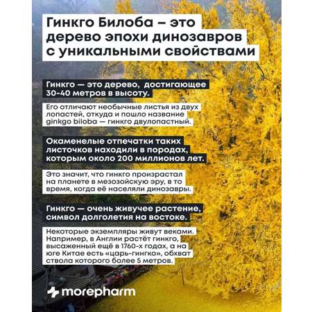 БАД morepharm Гинкго Билоба c глицином и витамином B6 для мозга и памяти