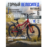 Двухколесный велосипед Veltory 20 дюймов