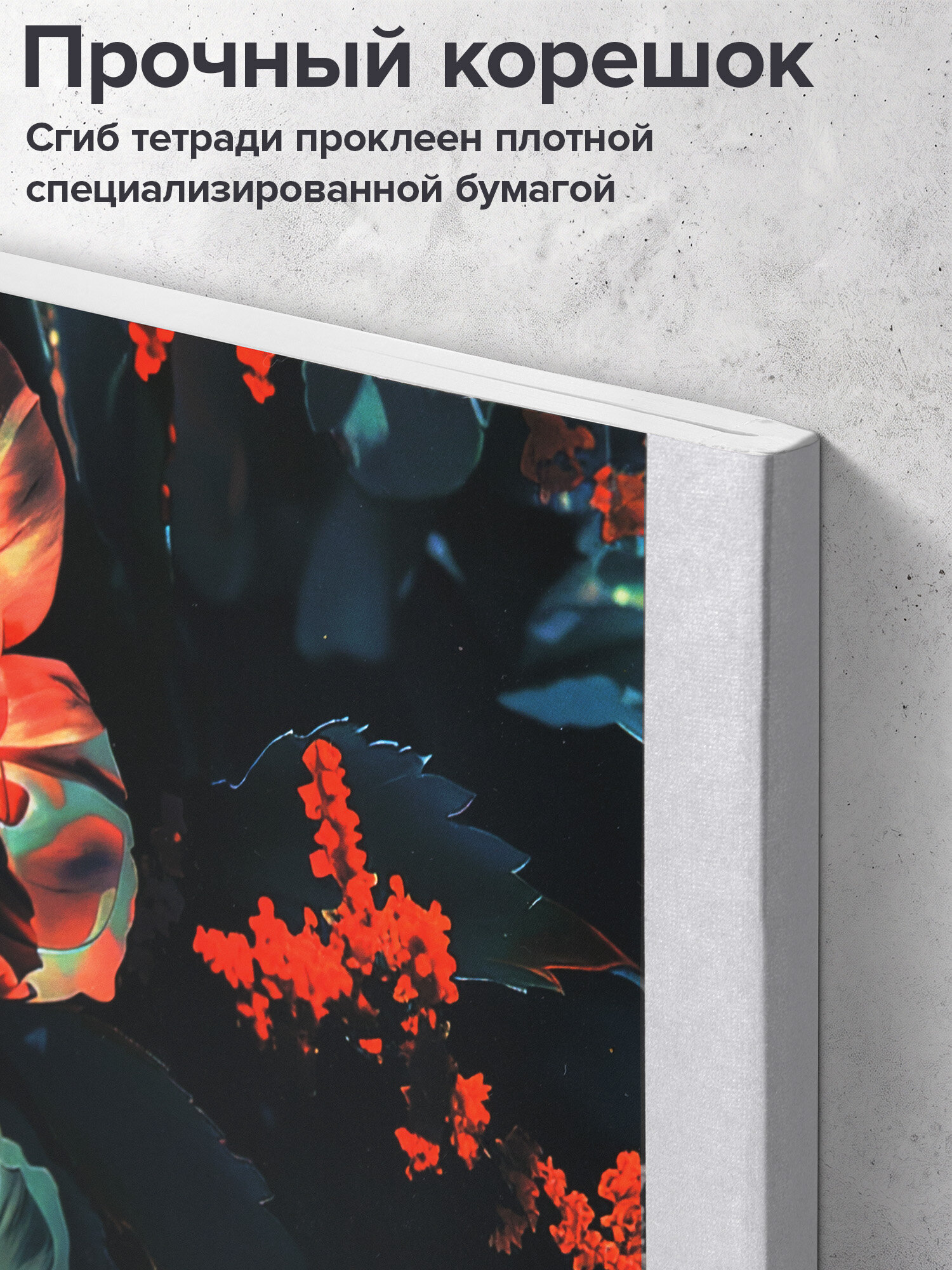 Тетрадь Brauberg клетка 96 лист. 2 шт. - фото 4