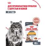 Корм для кошек Royal Canin 85г Hair Skin Care пауч