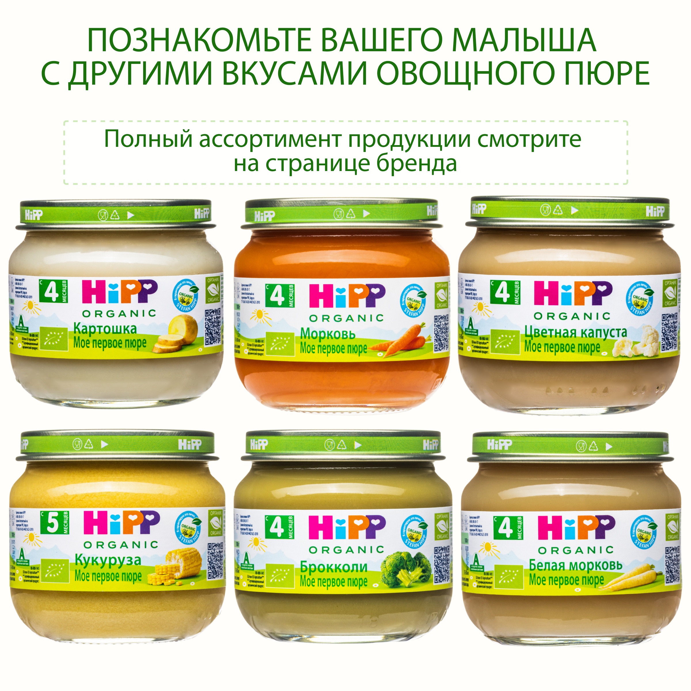 Пюре Hipp Тыква с 5 мес 80 г - фото 6