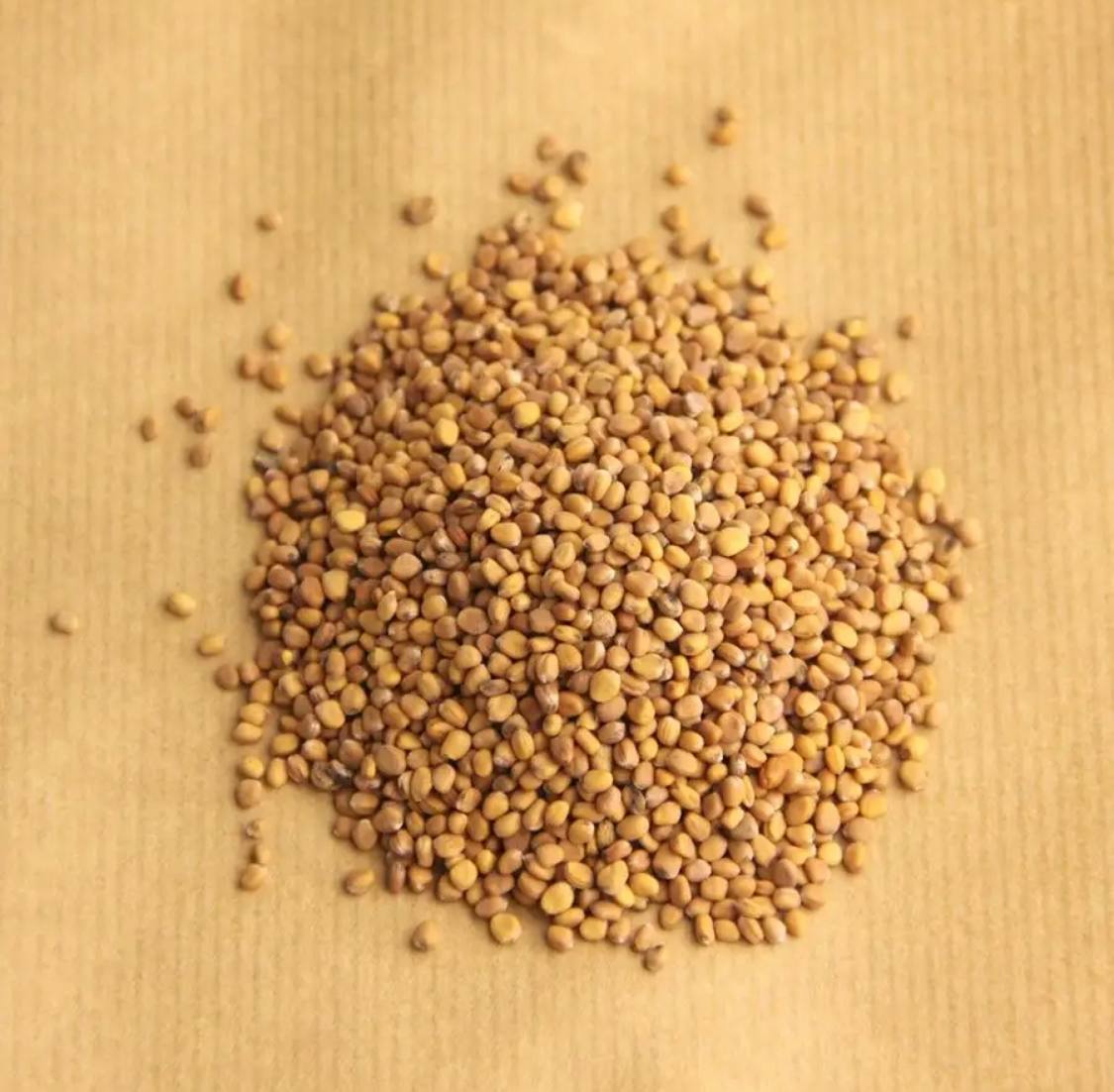 Семена для микрозелени MegaMedia редис - фото 2