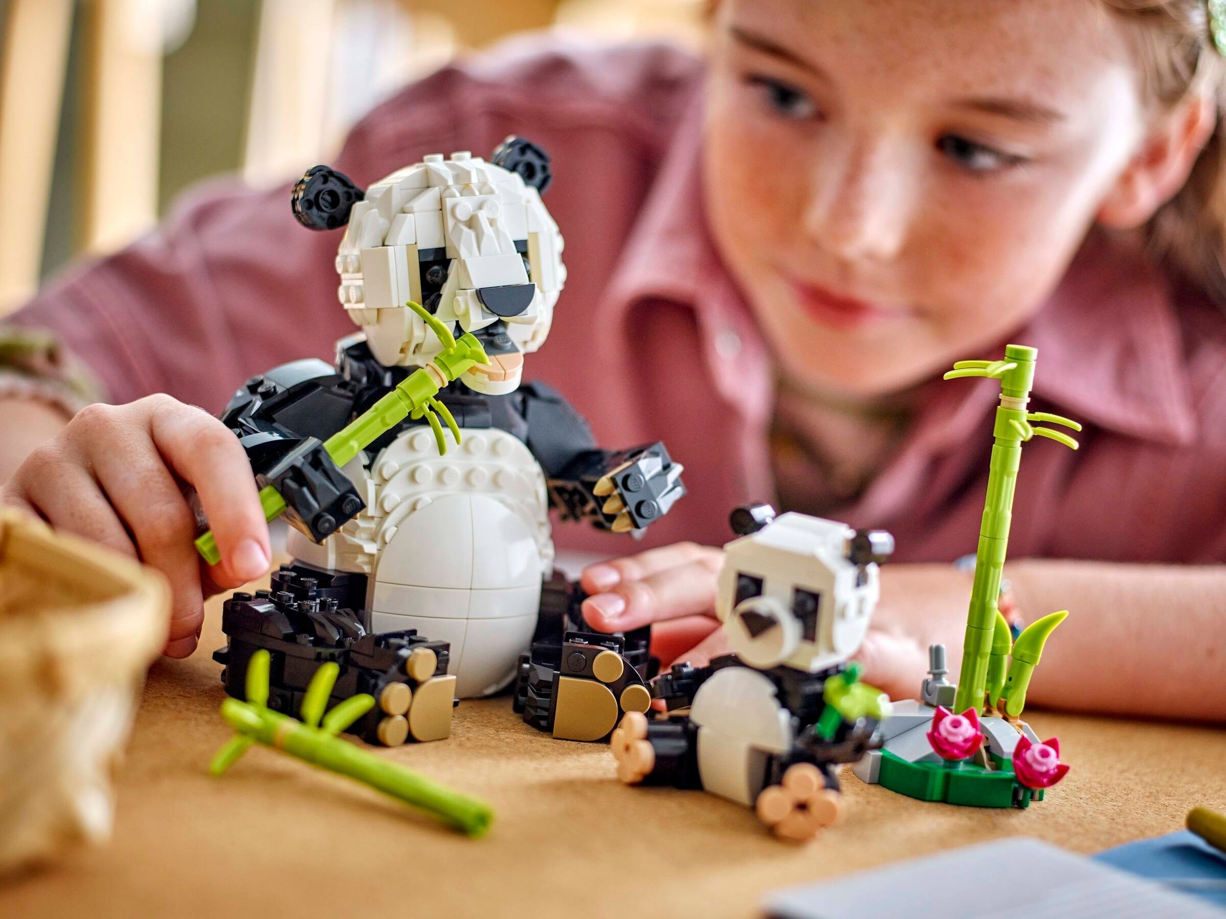 Конструктор LEGO Creator 31165 626 дет. - фото 3