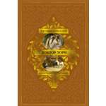 Книга АЗБУКА БольшРоман. Троллоп Э. Барсетширские хроники. Книга 2. Доктор Торн