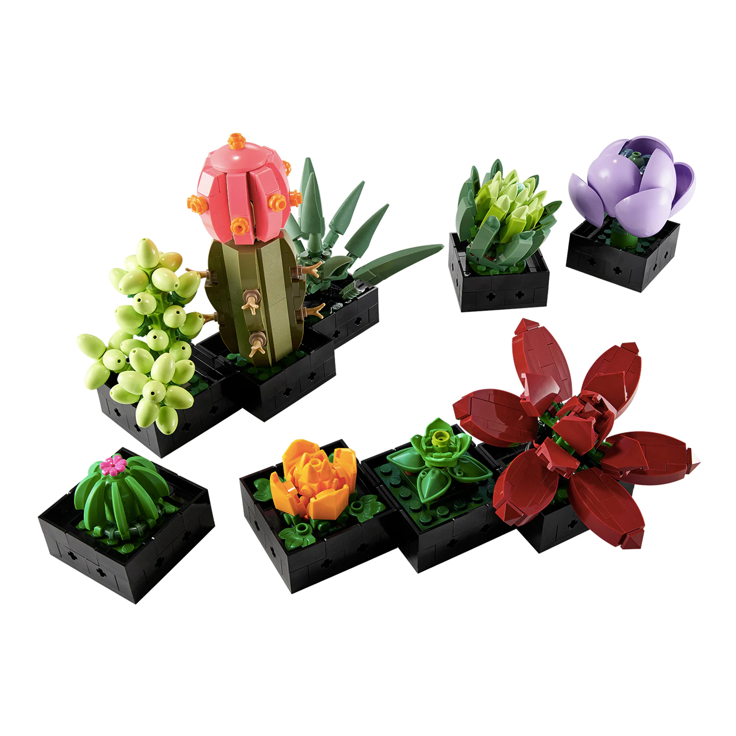 Конструктор LEGO Botanicals Кактусы 771 дет. - фото 8