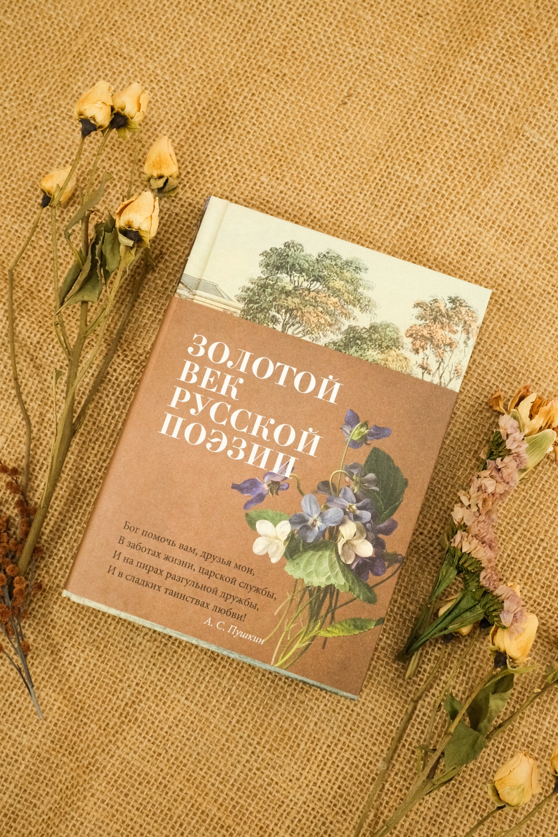 Книга АЗБУКА Азбука-поэзия/Пушкин А., Лермонтов М., Тютчев Ф./Золотой век русской поэзии - фото 5