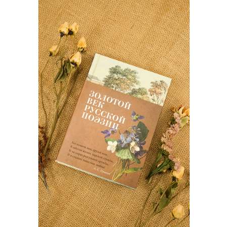 Книга АЗБУКА Азбука-поэзия/Пушкин А., Лермонтов М., Тютчев Ф./Золотой век русской поэзии