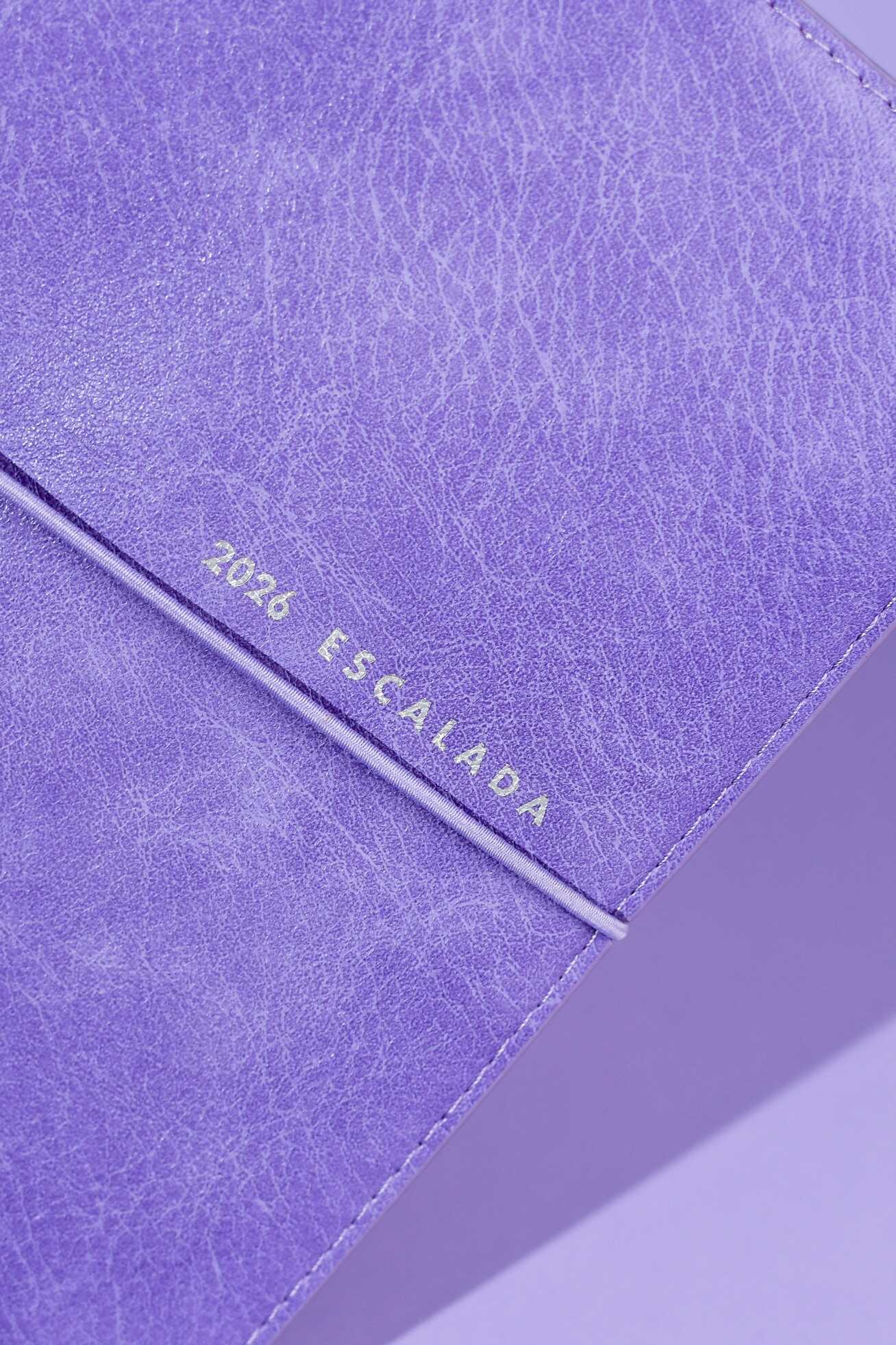 Ежедневник Феникс + ESCALADA 128 лист. - фото 4