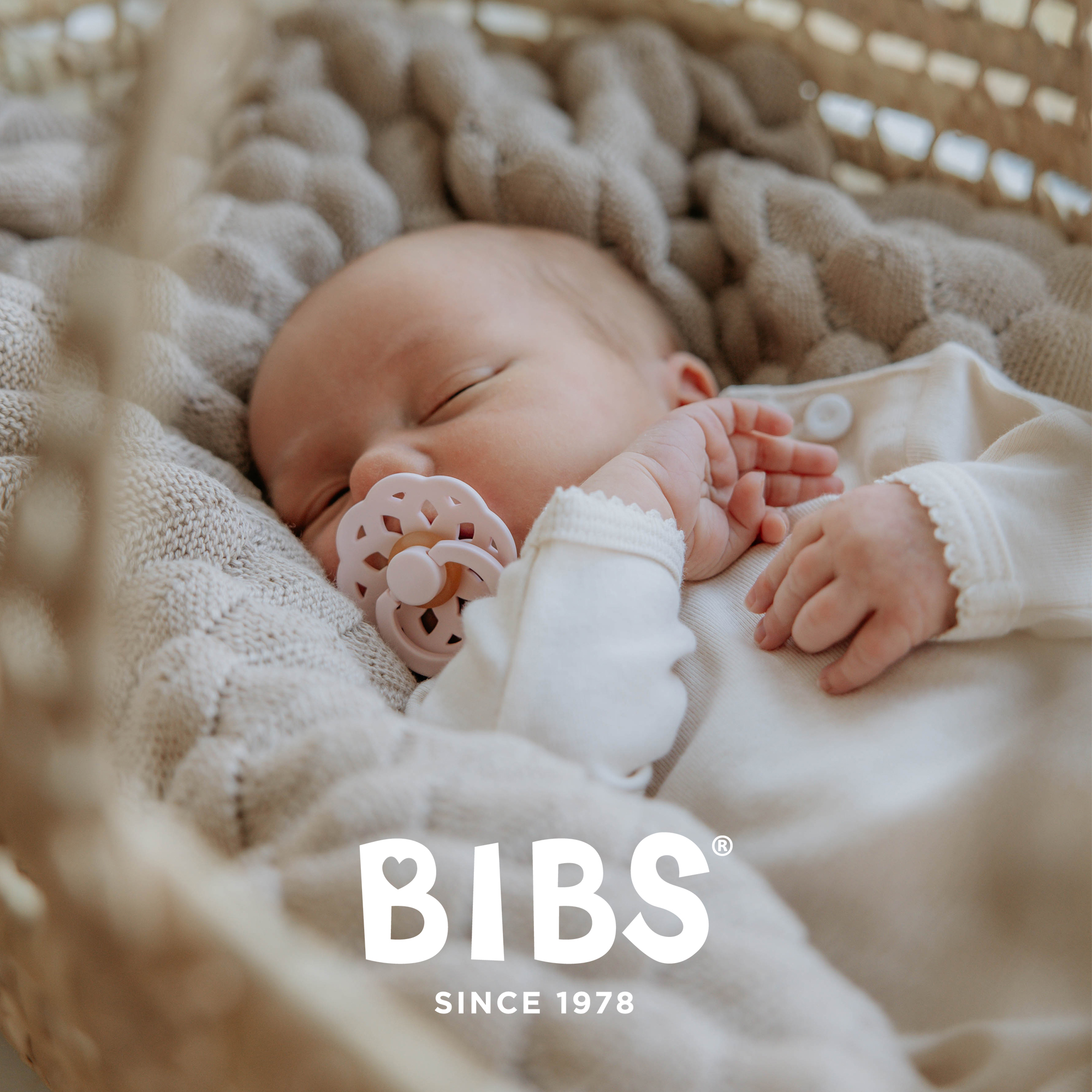 Пустышка BIBS от 6 мес. 2 шт. - фото 8