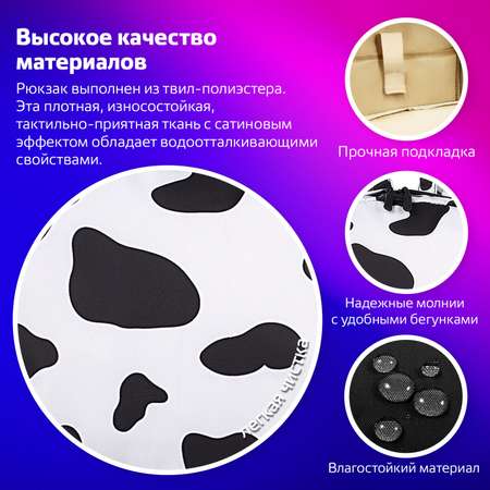 Рюкзак Brauberg