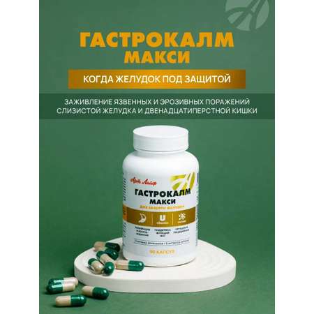 БАД Арт Лайф Гастрокалм Макси Для защиты желудка, 90 капсул