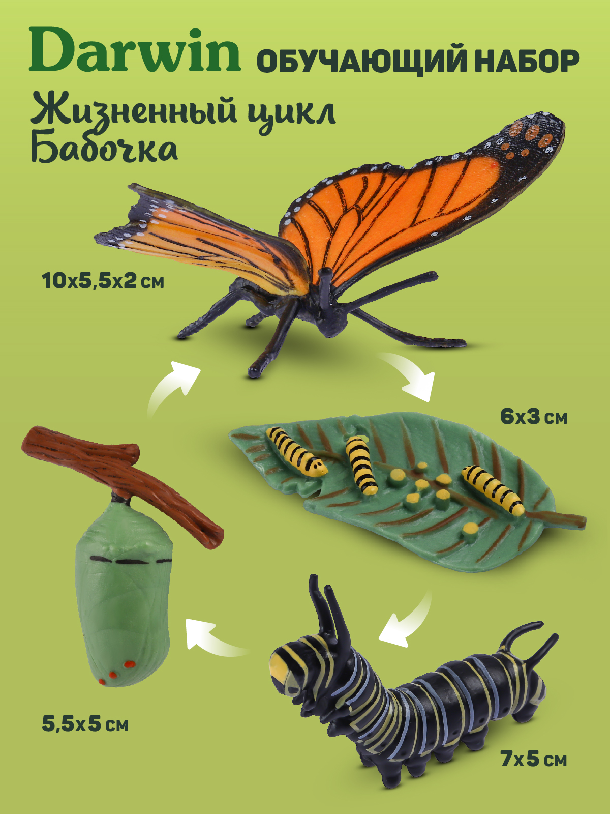 Игровой набор DARWIN Насекомые Бабочка 4 шт - фото 3