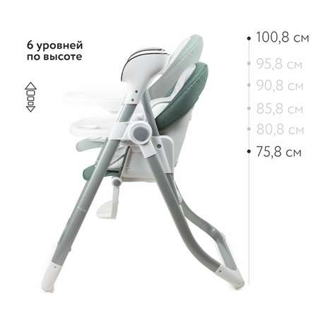 Стульчик для кормления Babyton Combi Care Green 2 в 1
