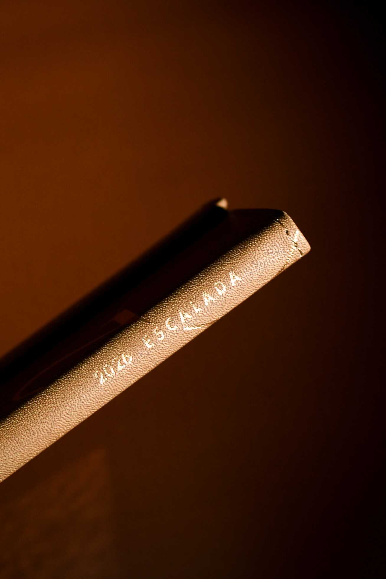 Ежедневник Феникс + ESCALADA 64 лист. - фото 9