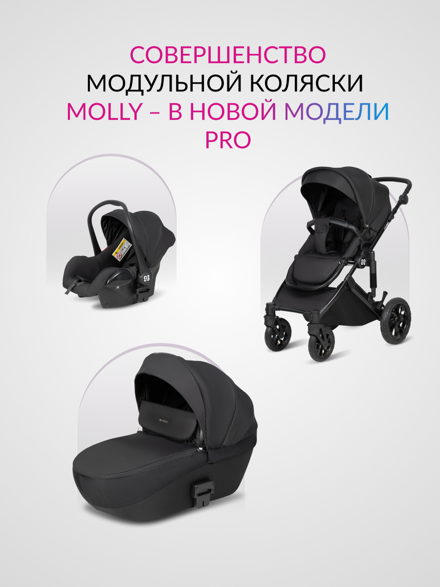 Коляска 3в1 Farfello Molly Pro черный - фото 3