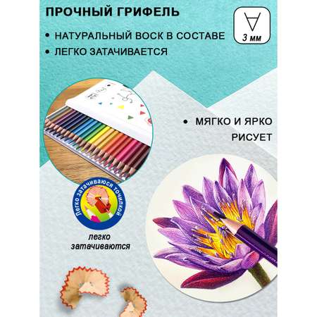 Карандаши цветные ACMELIAE 24 шт.
