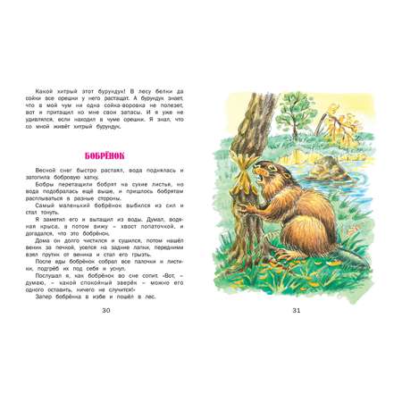 Книга Русич Верблюжья варежка. Сборник рассказов