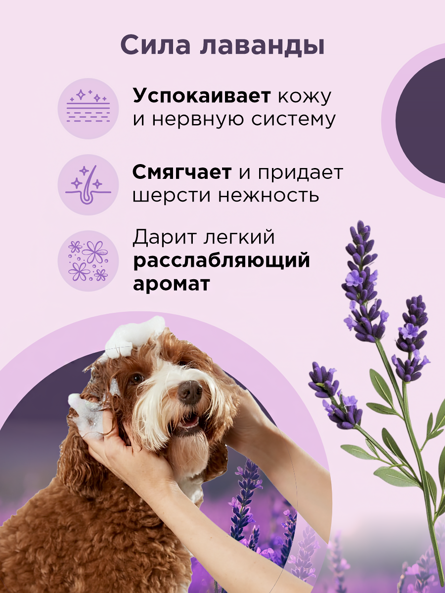 Шампунь для кошек и собак GOODR Pet Flower универсальный с ароматом Лаванды 250 мл - фото 2
