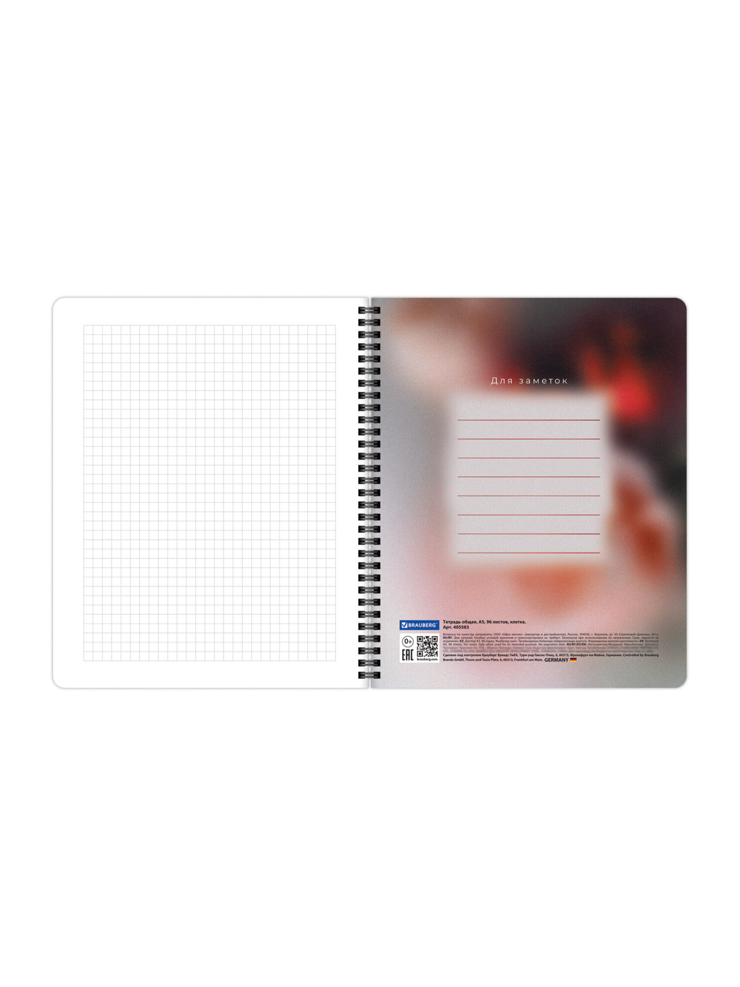 Общая тетрадь Brauberg клетка 96 лист. 4 шт. - фото 12