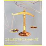 Тетрадь Prof-Press 48 лист. 4 шт. (Обществознание)