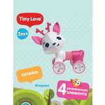 Игрушка Tiny Love каталка