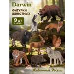 Игровой набор DARWIN Животные России 9шт
