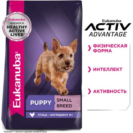Корм Eukanuba Dog 3кг для щенков мелких пород сухой