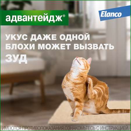 Препарат инсектоакарицидный для кошек Elanco Адвантейдж 0.8мл 4пипетки