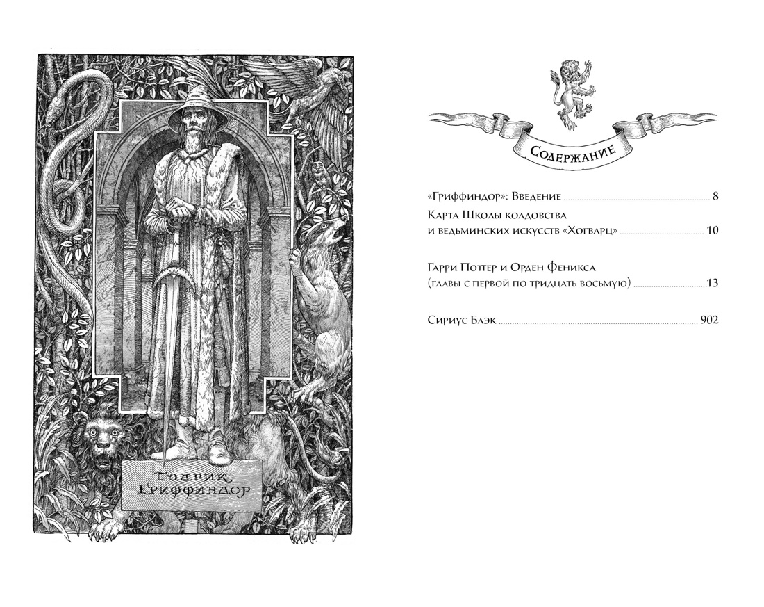 Книга Махаон Роулинг Дж.К. Гарри Поттер и Орден Феникса (Гриффиндор) - фото 14