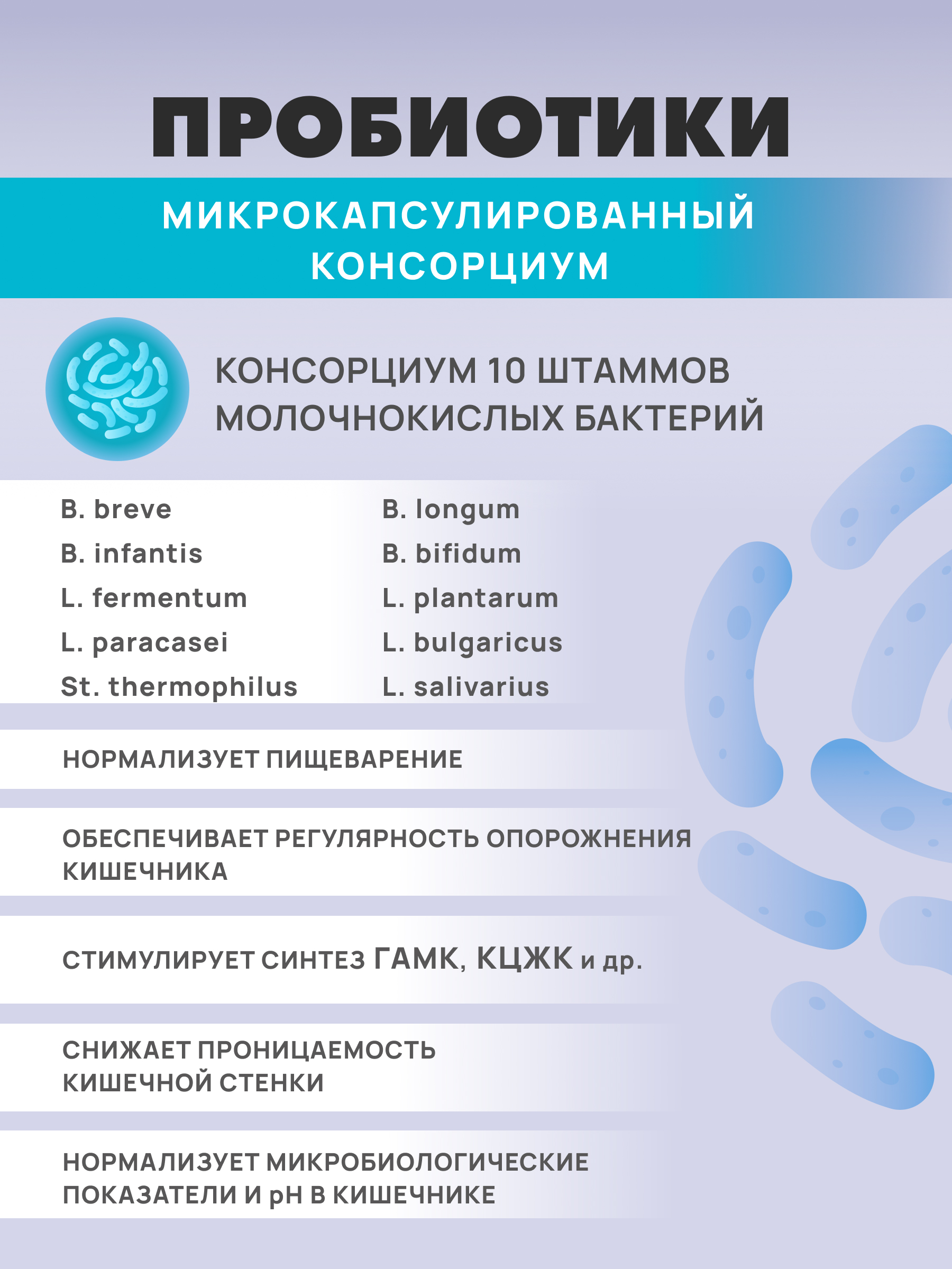 Art Life Панбиолакт Ментал, 60 капсул Арт Лайф Забота о ментальном здоровье. - фото 5