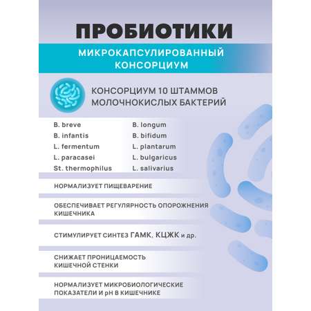 Art Life Панбиолакт Ментал, 60 капсул Арт Лайф Забота о ментальном здоровье.
