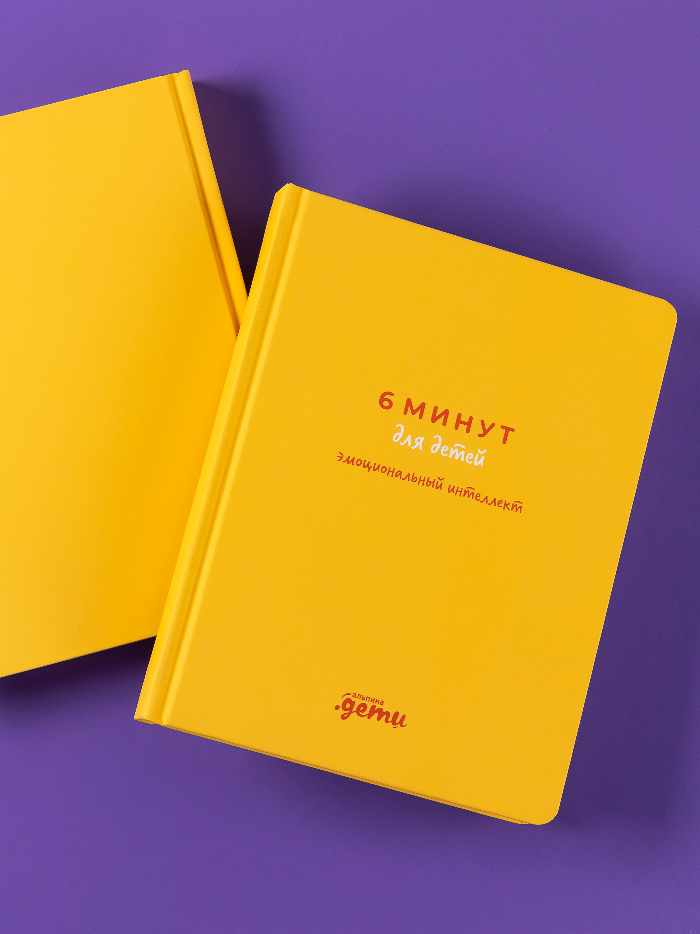 Книга Альпина. Дети 6 минут для детей: эмоциональный интеллект - фото 9