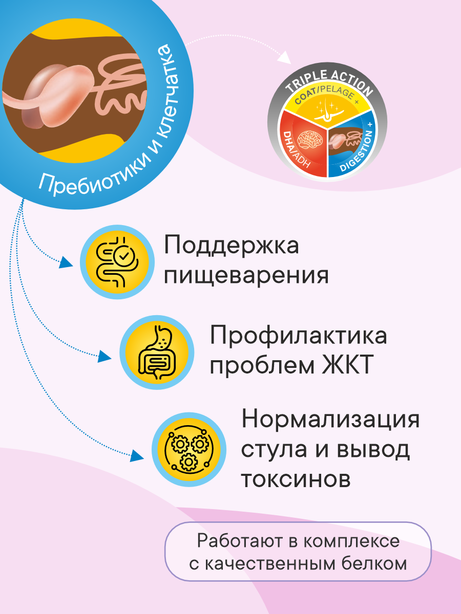 Корм сухой 1st Choice Здоровая кожа и шерсть для щенков мелких пород на ягненке с рыбой и рисом 350г - фото 4