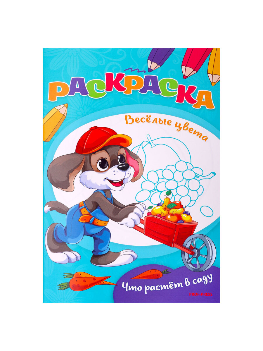 Раскраски детские Prof-Press набор Для девочек и мальчиков А5 25 штук - фото 31