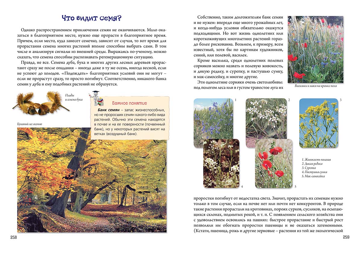 Книга Белый город Нескучная биология с задачами и решениями - фото 9