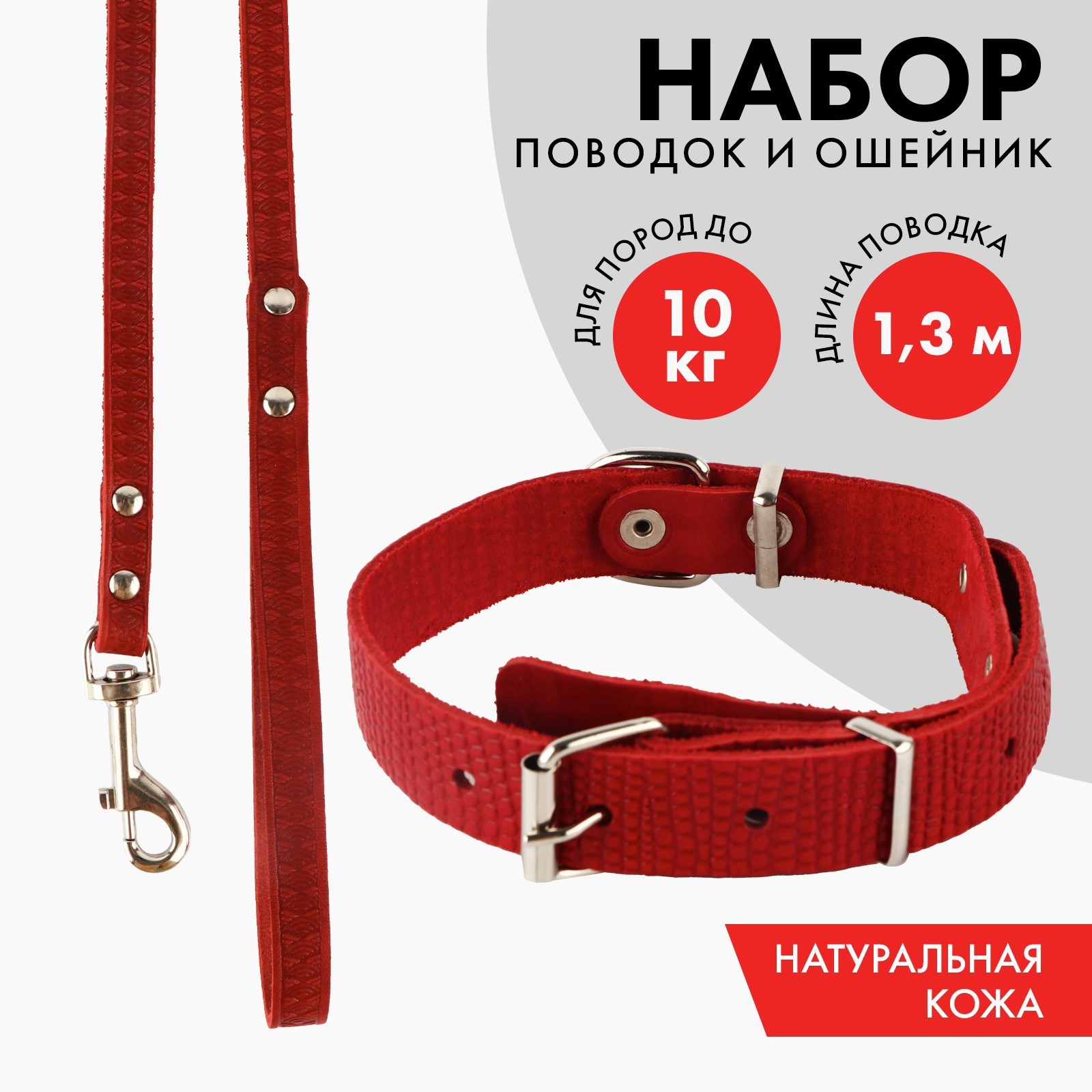 Комплект ошейник и поводок Пушистое счастье 40-54х2.5 см 130х1.2 см рептилия - фото 1