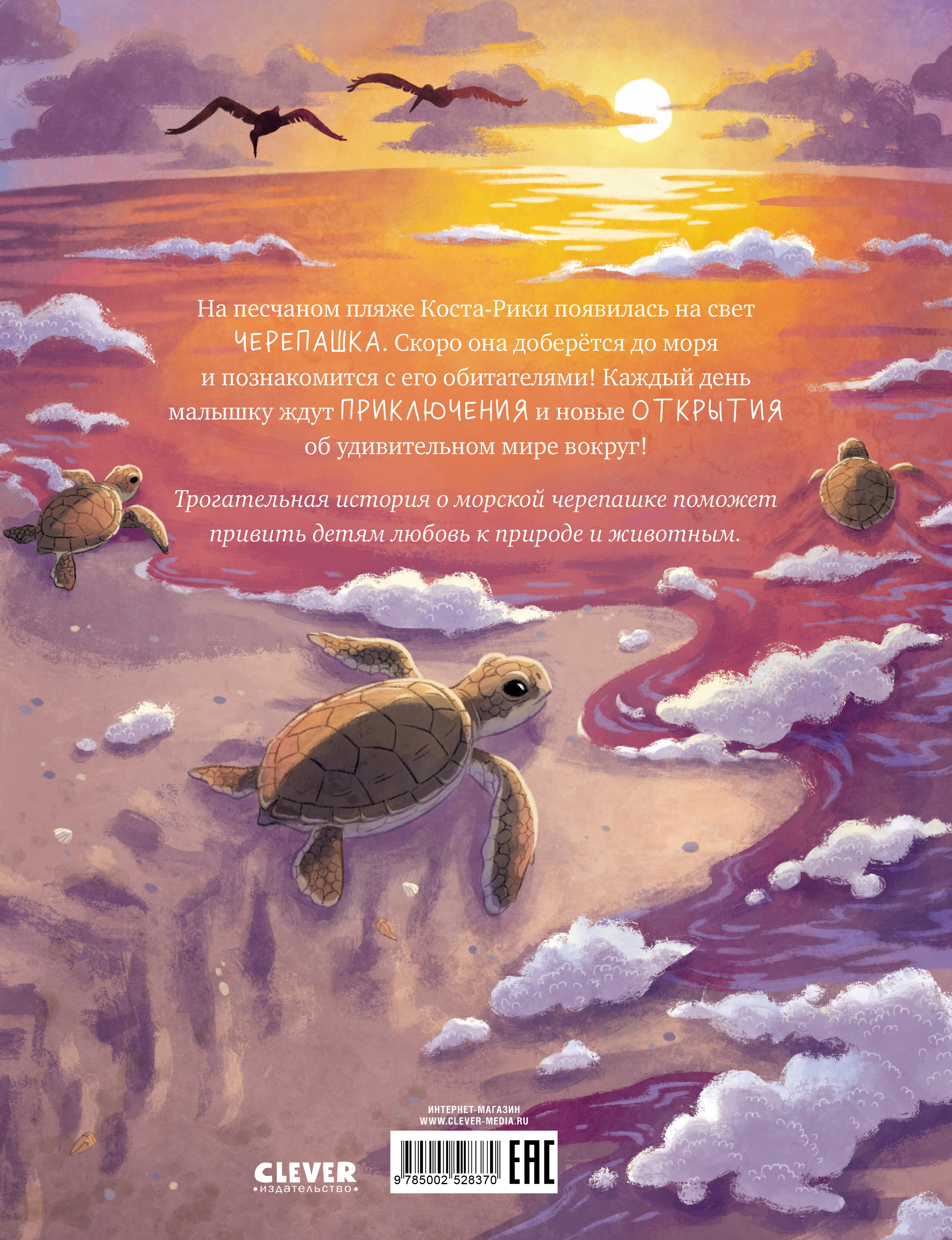 Книга Clever Маленькая черепашка. Приключения в море - фото 7
