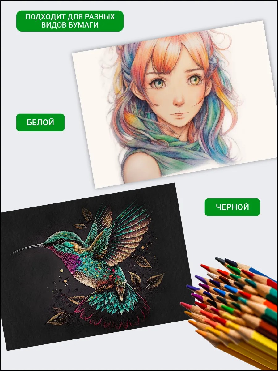 Карандаши цветные AXLER 50 шт. - фото 7