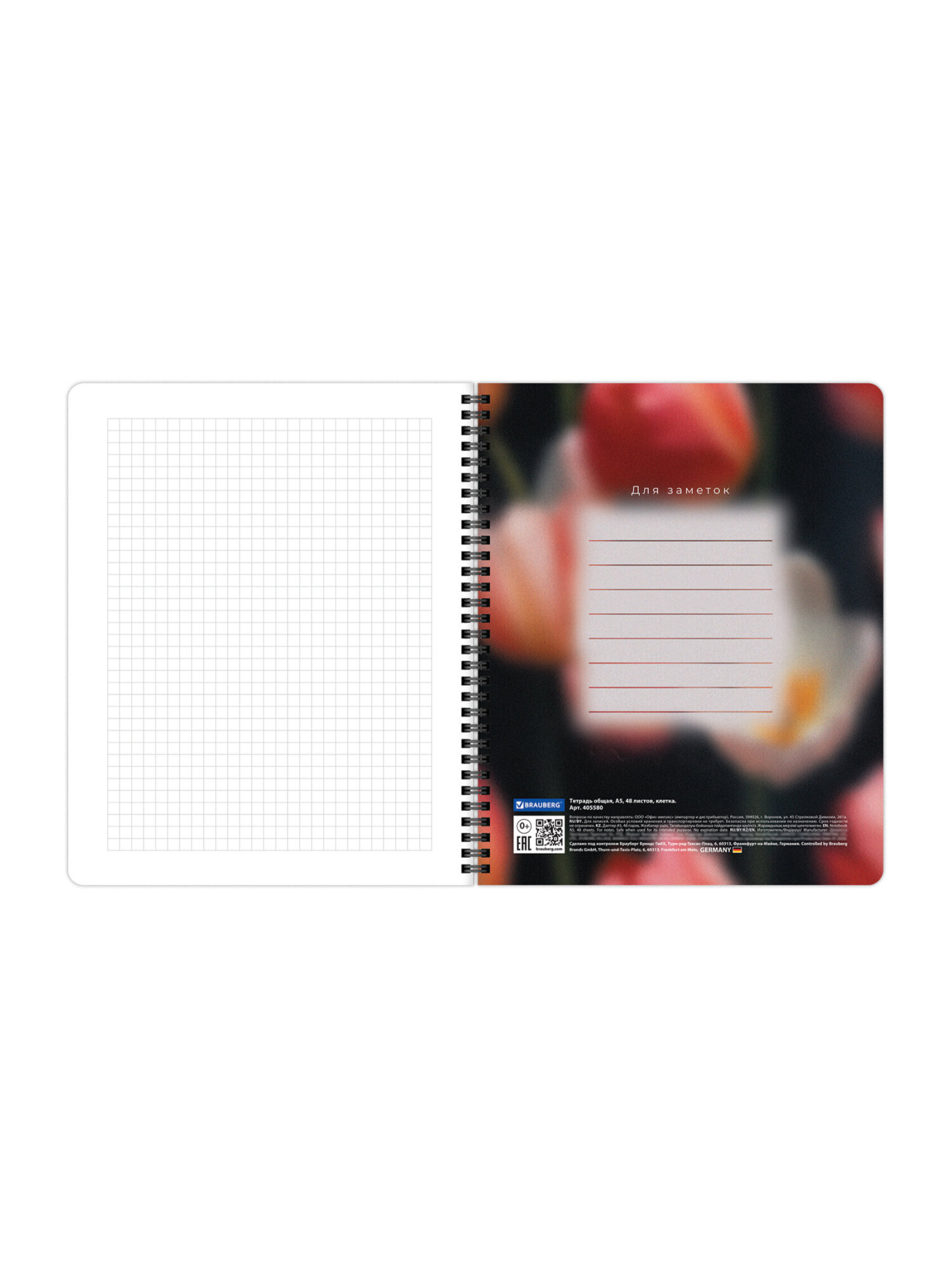 Тетрадь Brauberg клетка 48 лист. 4 шт. - фото 10
