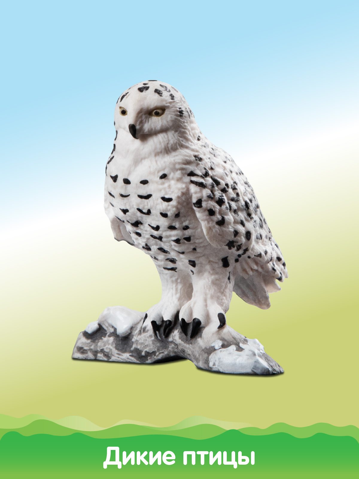 Игровой набор DARWIN Животные Птицы - фото 10