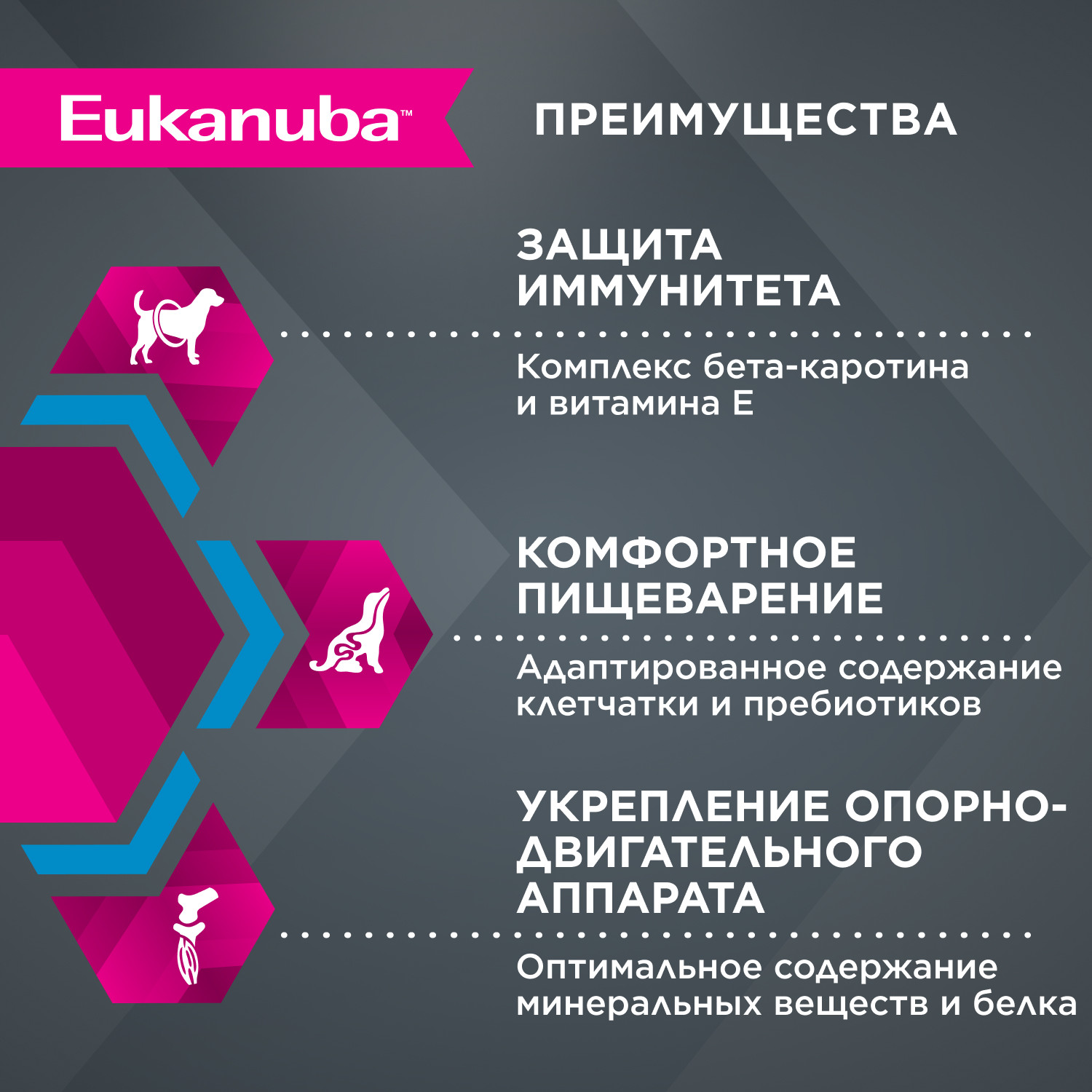 Корм для собак Eukanuba 1кг Dog DNAl с мясом птицы для йоркширских терьеров - фото 5