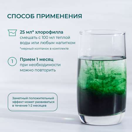 Хлорофилл жидкий LeafToGo натуральный, 500 мл