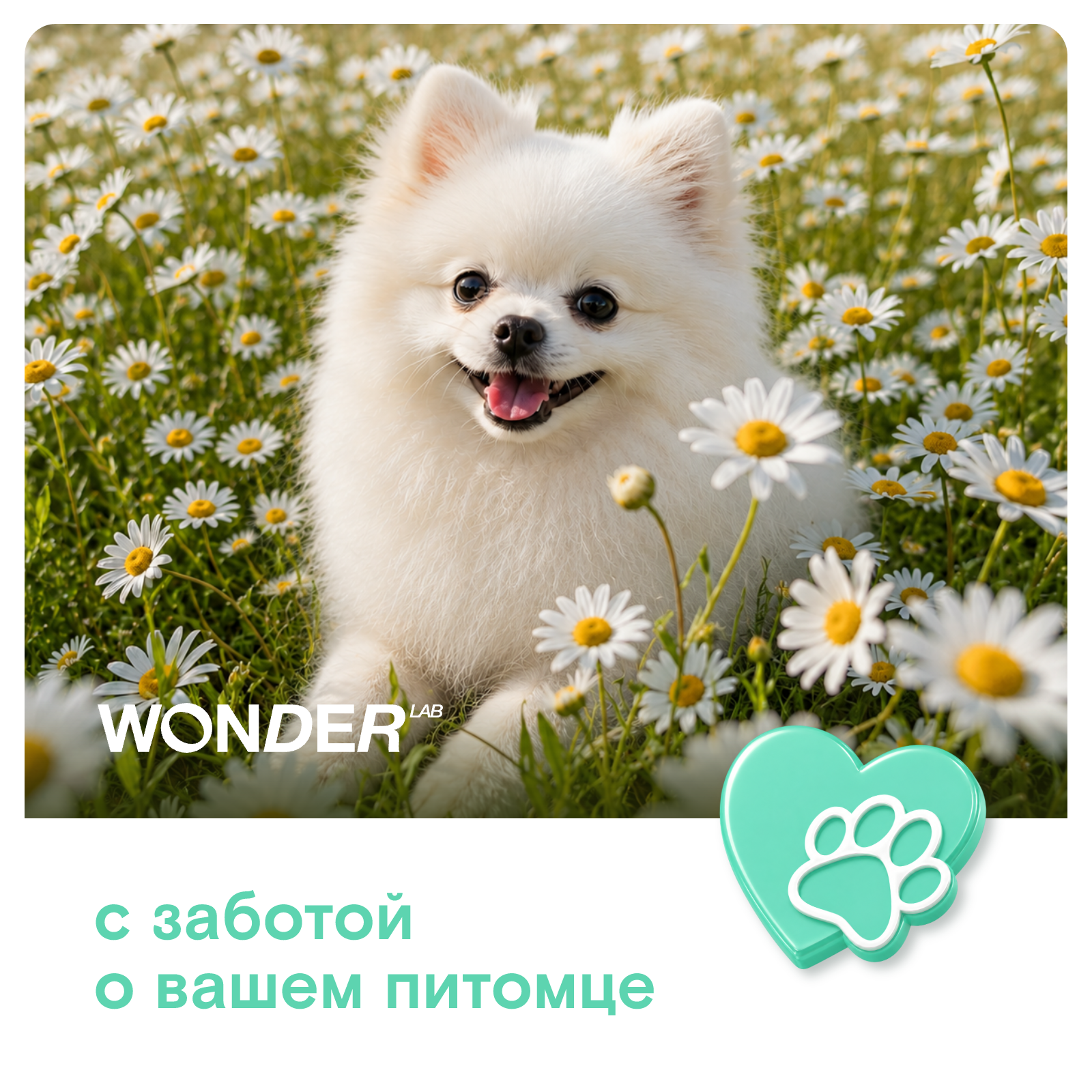 Экомыло для собак и кошек WONDER Lab для мытья лап 540мл - фото 8