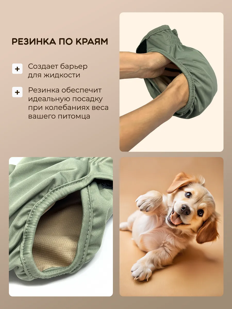 Трусы многоразовые для собак SuperPets размер S, 3 шт, разноцветные - фото 4
