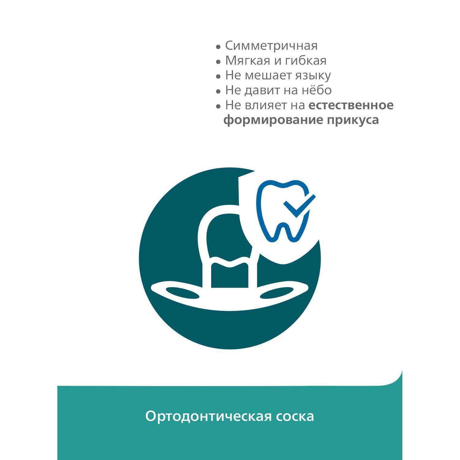 Пустышка Philips Avent ортодонтическая от 6 мес. 2 шт. - фото 6