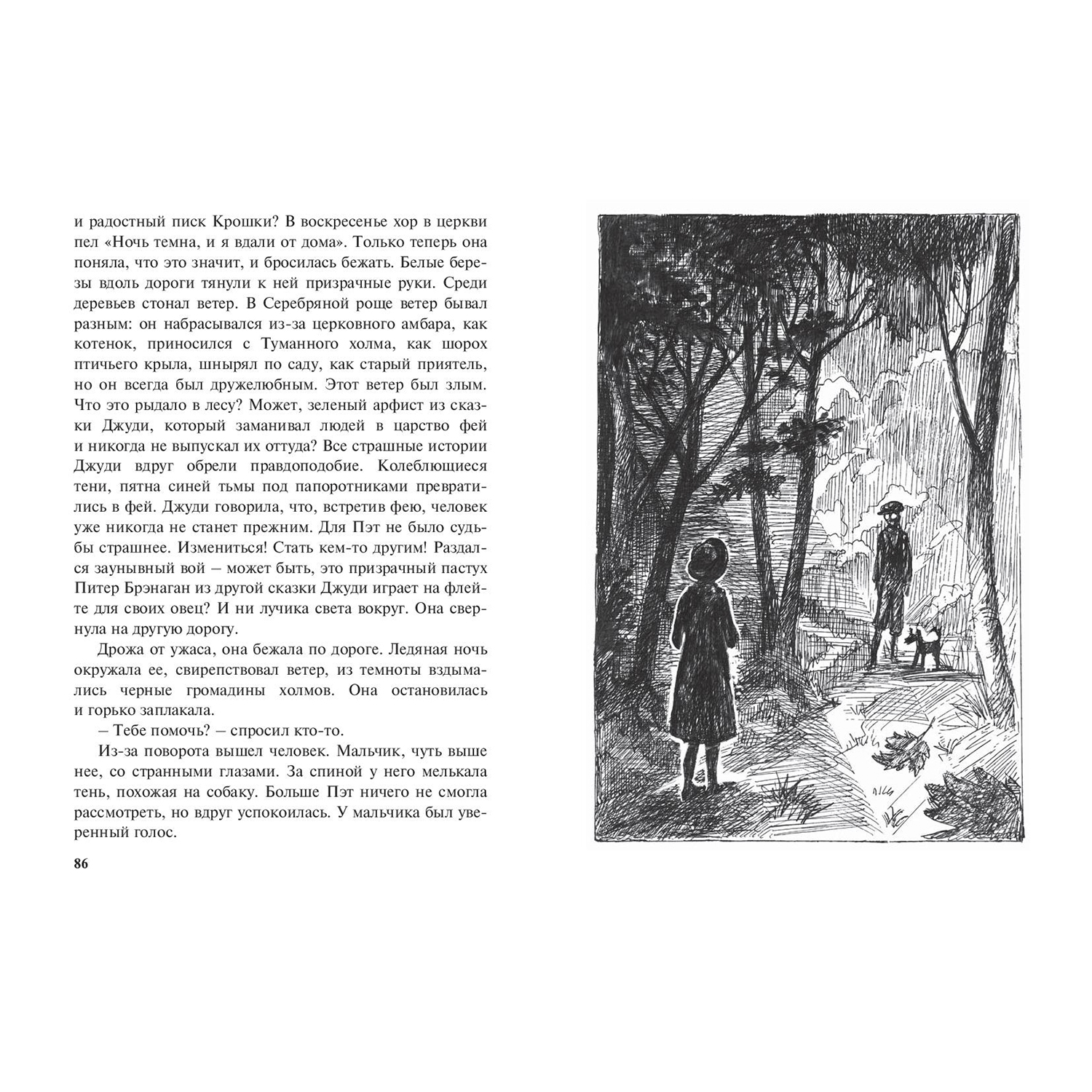 Книга ЭНАС-книга Пэт из Серебряной рощи - фото 3