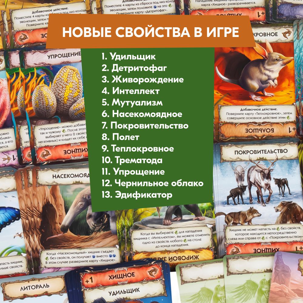 Настольная игра Правильные Игры - фото 5